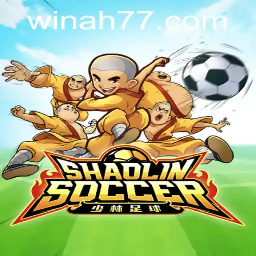 Shaolin Soccer Game Review