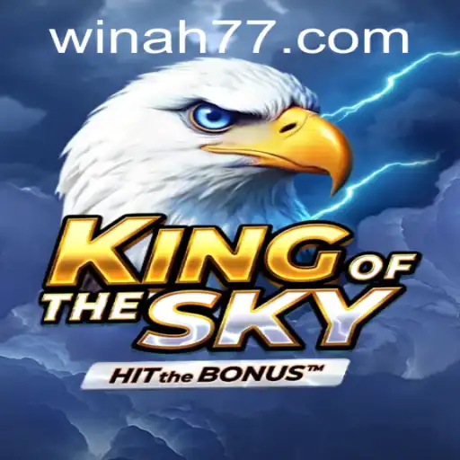 KingOfTheSky: A Thrilling Journey Through the Virtual Skies